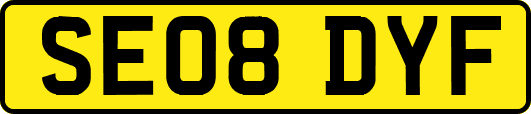 SE08DYF