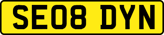 SE08DYN
