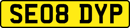 SE08DYP