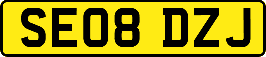SE08DZJ