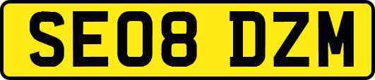 SE08DZM