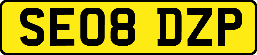 SE08DZP