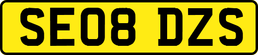 SE08DZS