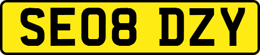 SE08DZY