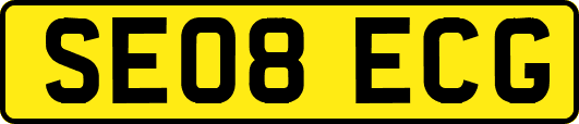 SE08ECG