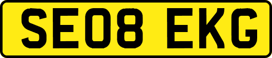 SE08EKG