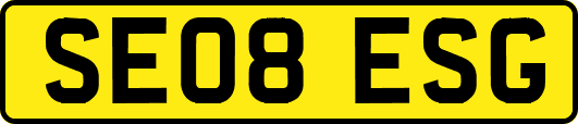 SE08ESG