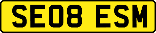 SE08ESM