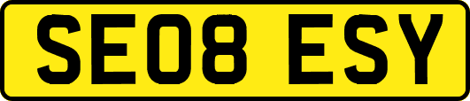 SE08ESY