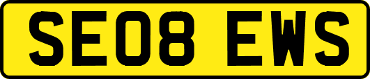 SE08EWS
