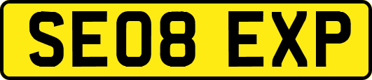 SE08EXP