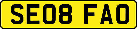 SE08FAO