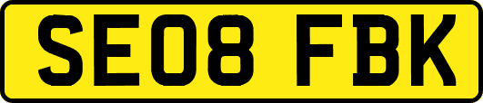SE08FBK