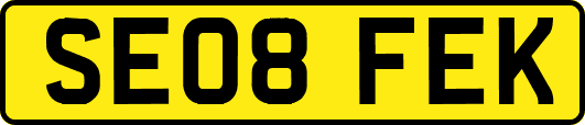 SE08FEK