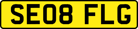 SE08FLG