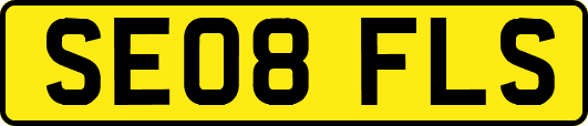 SE08FLS