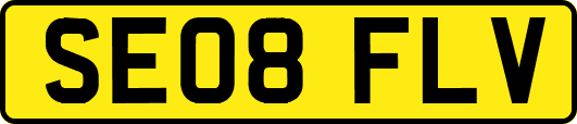 SE08FLV