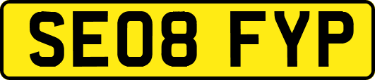 SE08FYP