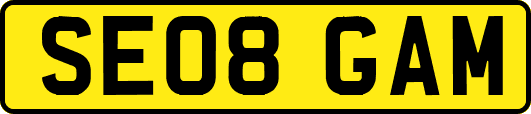 SE08GAM