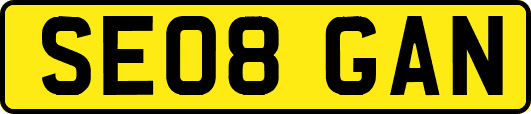 SE08GAN