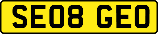 SE08GEO