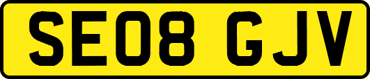 SE08GJV