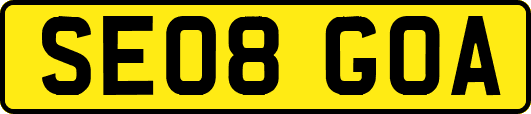 SE08GOA
