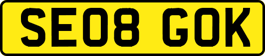 SE08GOK