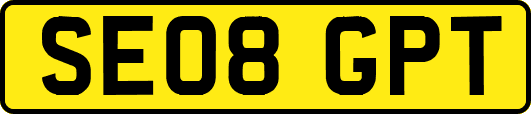 SE08GPT