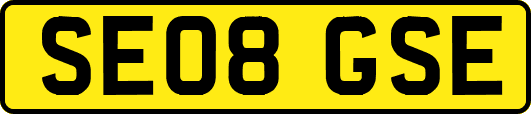 SE08GSE