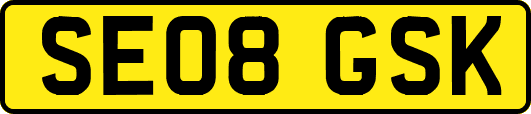 SE08GSK