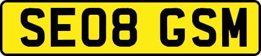 SE08GSM