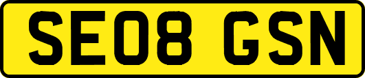 SE08GSN