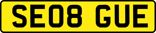 SE08GUE