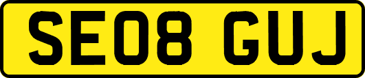 SE08GUJ