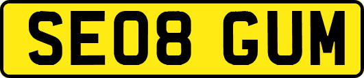SE08GUM