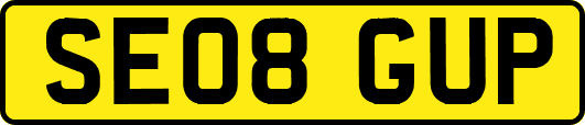 SE08GUP