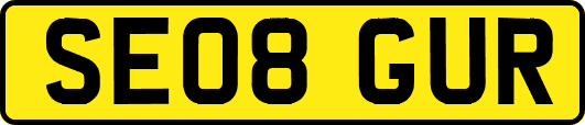 SE08GUR