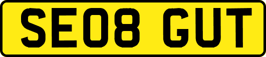 SE08GUT