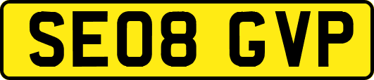 SE08GVP