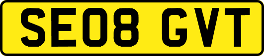 SE08GVT