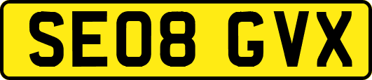 SE08GVX
