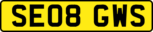 SE08GWS