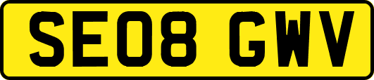 SE08GWV