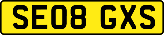 SE08GXS