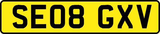 SE08GXV