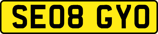 SE08GYO