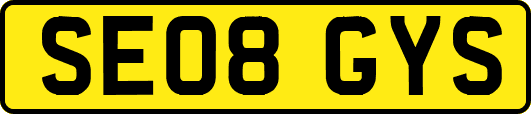 SE08GYS
