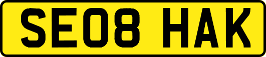 SE08HAK