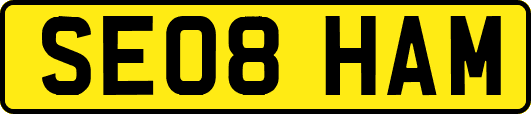 SE08HAM